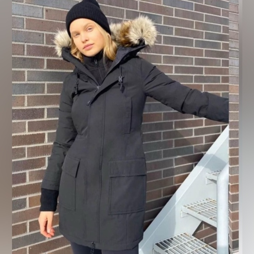 Aritzia Bancroft Parka (small)
